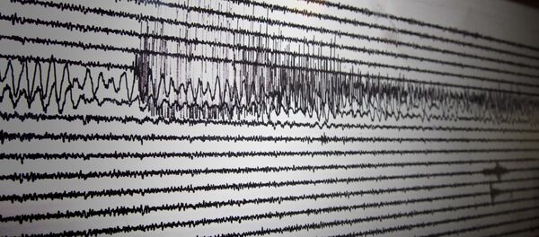 Сейсмограф. Землетрясение - Sputnik Грузия