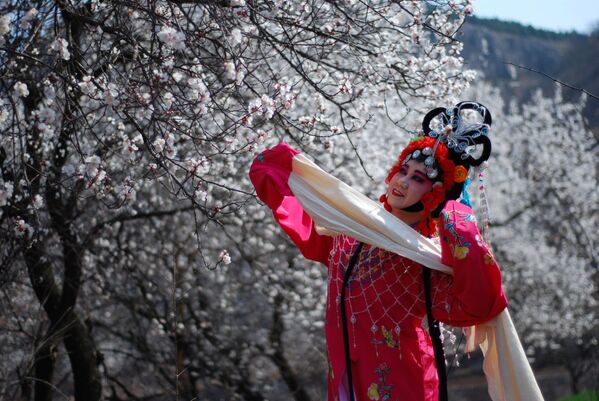 Женщина в оперном костюме позирует с абрикосовым цветком в Цзаочжуане, провинция Шаньдун - Sputnik Грузия