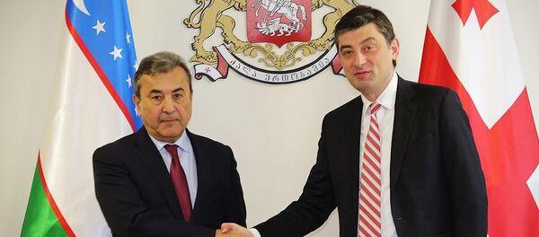 პარლამენტის ვიცე-სპიკერი სადიკ საფიევი და ეკონომიკის მინისტრი გიორგი გახარია - Sputnik საქართველო