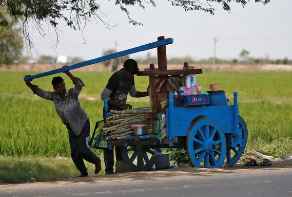 Мужчины выжимает сок сахарного тростника на аппарате с ручным приводом под тенью дерева в жаркий день на окраине Ахмедабада, Индия - Sputnik Грузия