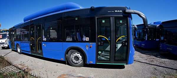 Новые синие городские автобусы MAN на стоянке в столице Грузии Новые синие городские автобусы MAN на стоянке в столице Грузии - Sputnik საქართველო