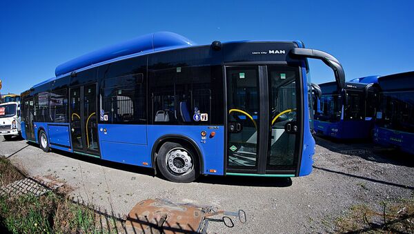 Новые синие городские автобусы MAN на стоянке в столице Грузии - Sputnik საქართველო