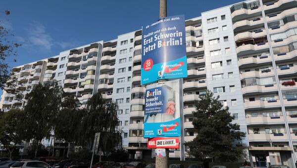 Предвыборные плакаты политической партии Альтернатива для Германии - Sputnik Грузия