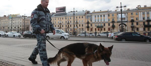 Усиление мер безопасности в Санкт-Петербурге - Sputnik Грузия