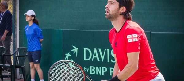 ნიკოლოზ ბასილაშვილი - Sputnik საქართველო