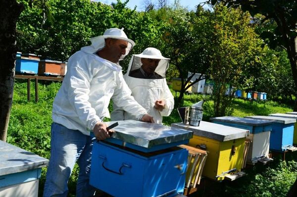 კოოპერატივი ალიონი კოოპერატივი ალიონი - Sputnik საქართველო