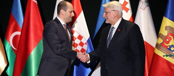 მიხეილ ჯანელიძე და ვიტოლდ ვაშიკოვსკი მიხეილ ჯანელიძე და ვიტოლდ ვაშიკოვსკი - Sputnik საქართველო