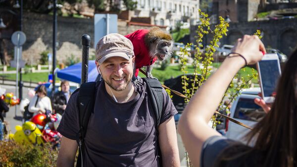 Мужчина фотографируется с обезьянкой в центре Тбилиси - Sputnik Грузия