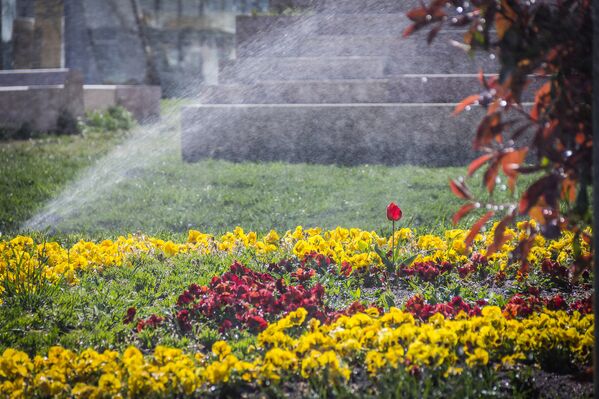 В городских парках заработали системы полива воды - яркие краски газонов подчеркивают наступление весны - Sputnik Грузия