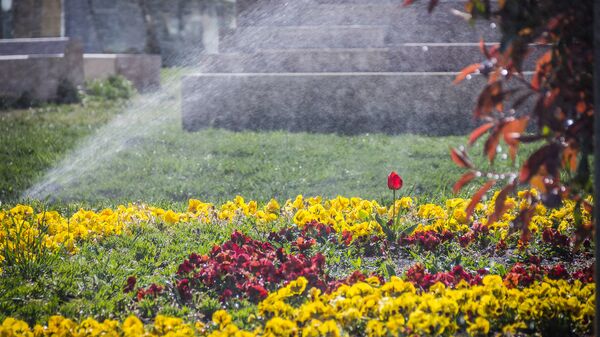 Автоматические системы поливают цветы в парке Рике - Sputnik Грузия