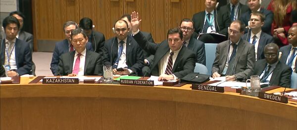 Россия заблокировала проект резолюции по Сирии в Совете безопасности ООН Россия заблокировала проект резолюции по Сирии в Совете безопасности ООН - Sputnik Грузия