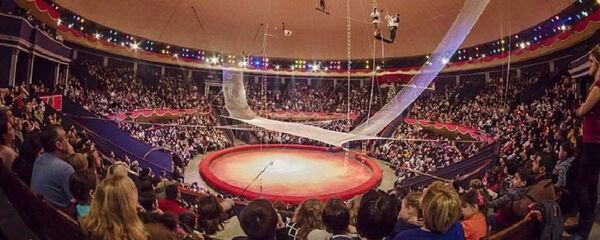 Тбилисский цирк - Sputnik Грузия