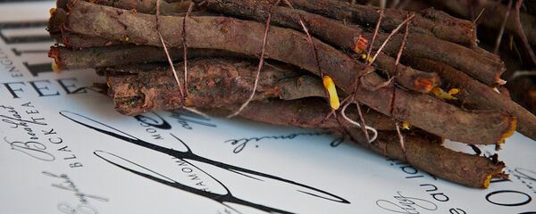 Корешки эндро для покраски яиц на Пасху - Sputnik Грузия