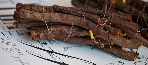 ენდრო - Sputnik საქართველო