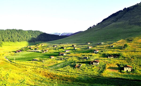 თუშეთი თუშეთი - Sputnik საქართველო