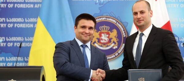 მიხეილ ჯანელიძე და პაველ კლიმკინი მიხეილ ჯანელიძე და პაველ კლიმკინი - Sputnik საქართველო