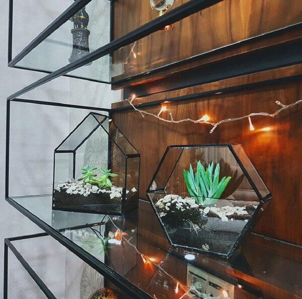 კანტის პროდუქცია კანტის პროდუქცია - Sputnik საქართველო