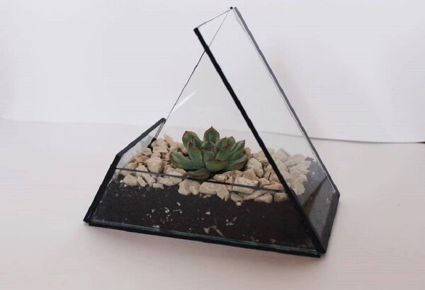 მინის დეკორატიული ქოთანი მინის დეკორატიული ქოთანი - Sputnik საქართველო