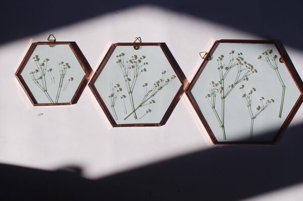 საკიდი ჩარჩოები საკიდი ჩარჩოები - Sputnik საქართველო