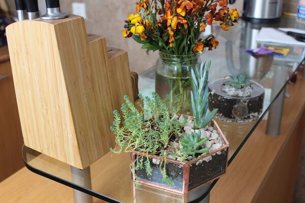 კანტის პროდუქცია კანტის პროდუქცია - Sputnik საქართველო