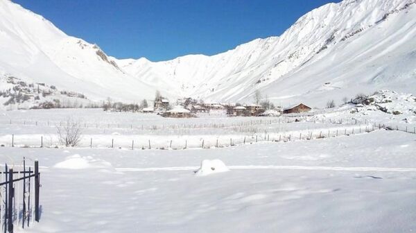 ხადა ზამთარში ხადა ზამთარში - Sputnik საქართველო