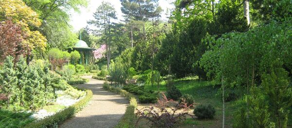 საქართველოს ეროვნული ბოტანიკური ბაღი საქართველოს ეროვნული ბოტანიკური ბაღი - Sputnik საქართველო