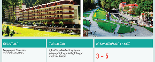 საქართველოს მინერალური წყლები: შემადგენლობა და სარგებელი - Sputnik საქართველო