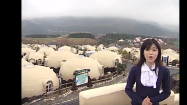 ვიდეოკლუბი: იაპონური პენოპლასტის სახლები - Sputnik საქართველო