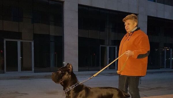 ნატალია მესტვირიშვილი საკუთარ ძაღლთან ერთად - Sputnik საქართველო
