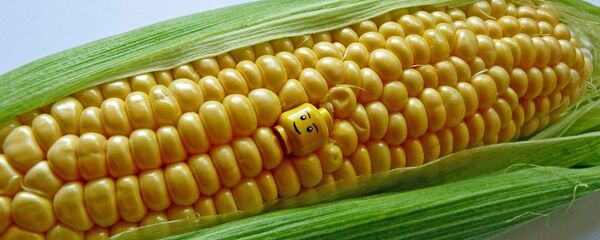 იუმორი - Sputnik საქართველო