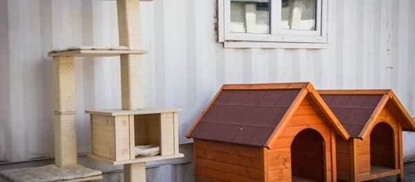 Georgian Products - Sputnik Грузия