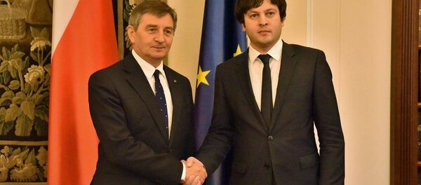 მარეკ კუხჩინსკი და ირაკლი კობახიძე - Sputnik საქართველო