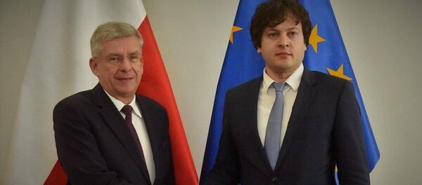 ირაკლი კობახიძე და სტანისლავ კარჩევსკი ირაკლი კობახიძე და სტანისლავ კარჩევსკი - Sputnik საქართველო