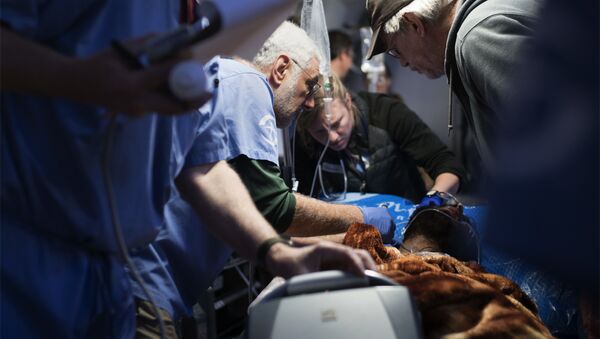Хирурги в операционной оказывают медицинскую помощь пациенту - Sputnik Грузия