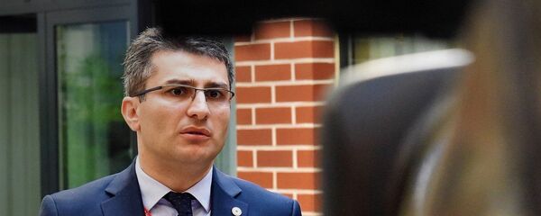 მამუკა მდინარაძე - Sputnik საქართველო