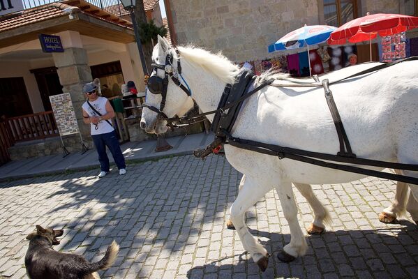 Прогулки верхом и путешествие на повозке с запряженными в нее лошадьми - так развлекают туристов во многих городах Грузии - Sputnik Грузия