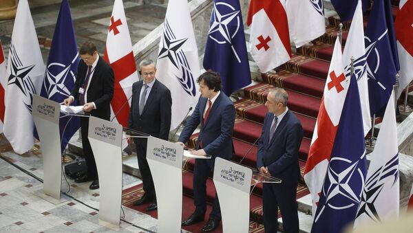 Открытие весенней сессии ПА НАТО в Тбилиси - Sputnik Грузия