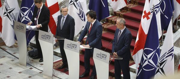 ნატოს საპარლამენტო ასამბლეის გახსნა თბილისში - Sputnik საქართველო