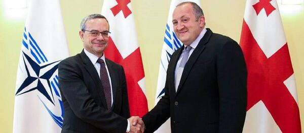 Президент Грузии Георгий Маргвелашвили и президент ПА НАТО Паоло Алли - Sputnik Грузия
