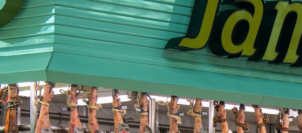 ჰამონი ჰამონი - Sputnik საქართველო