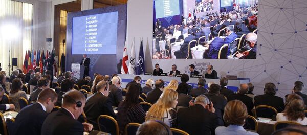 Пленарное заседание ПА НАТО в Тбилиси - Sputnik Грузия