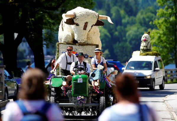 В Австрии состоялось грандиозное шествие громадных цветочных скульптур. Здесь, начиная с 1960 года, традиционно проводится фестиваль нарциссов. Время праздника выбрано не случайно – именно в этот период альпийские луга покрываются ковром из миллионов бело-желтых цветов - Sputnik Грузия