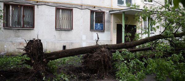 Последствия урагана в Москве - Sputnik Грузия