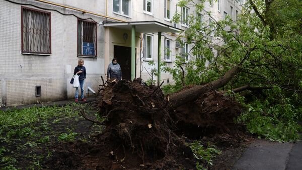 Последствия урагана в Москве - Sputnik Грузия