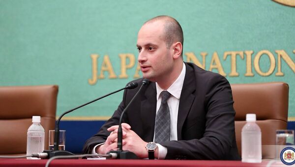 Глава МИД Грузии Михаил Джанелидзе в Японии - Sputnik Грузия