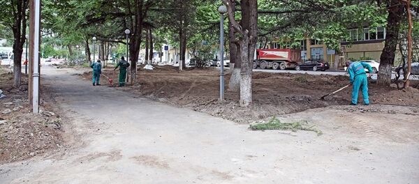 ხეივნის მოწყობის სამუშაოები ვაჟა-ფშაველას გამზირზე - Sputnik საქართველო