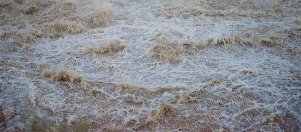 მდინარე მდინარე - Sputnik საქართველო