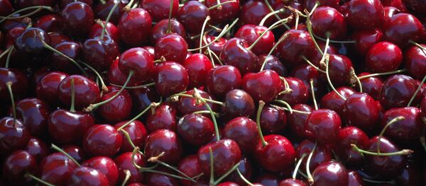 ალუბალი - Sputnik საქართველო