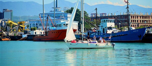 Черноморское побережье и порт Батуми Черноморское побережье и порт Батуми - Sputnik Грузия