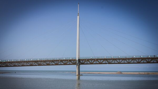 Пешеходный мост в Анаклии через реку Ингури - Sputnik Грузия